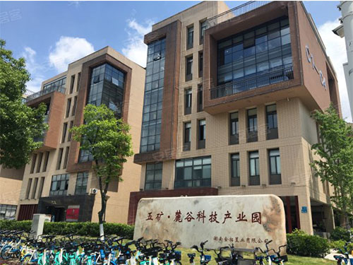 门店展示